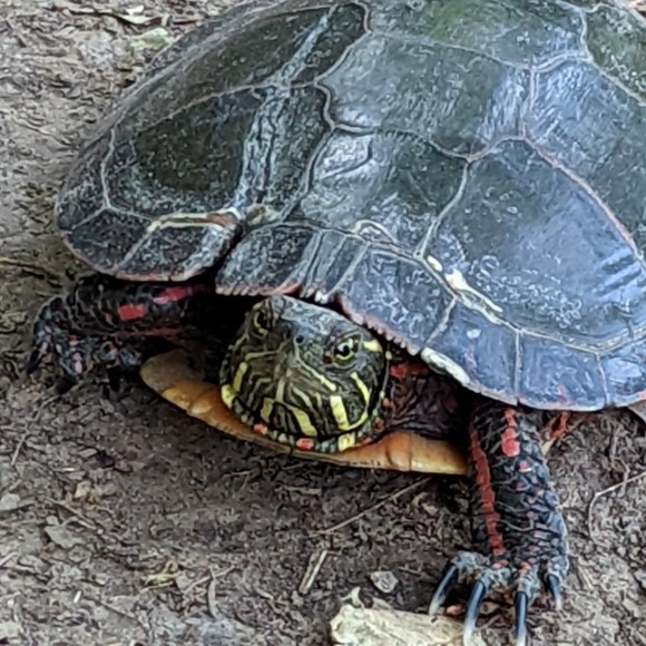 Meet your Posher, Kyle - Picture 1 of 1